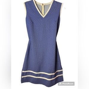 Vintage Blue and white Dress